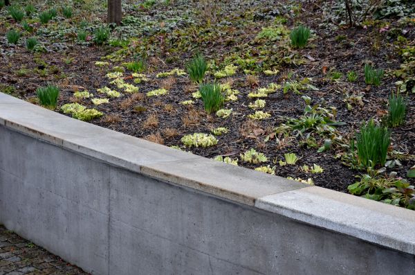 Concrete Wall Construction in Monument