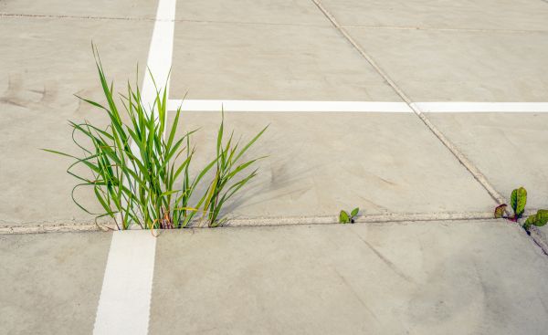 Concrete Parking Installation in Monument