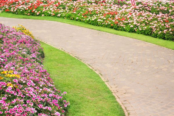 Concrete Walkway Service in Monument