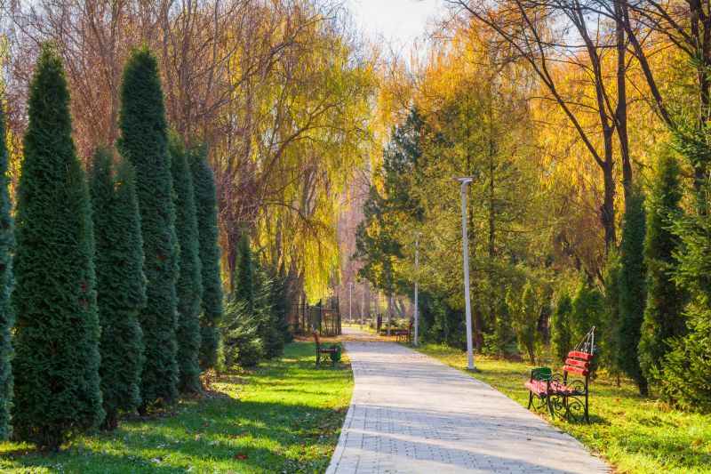 Paved Pathway Service